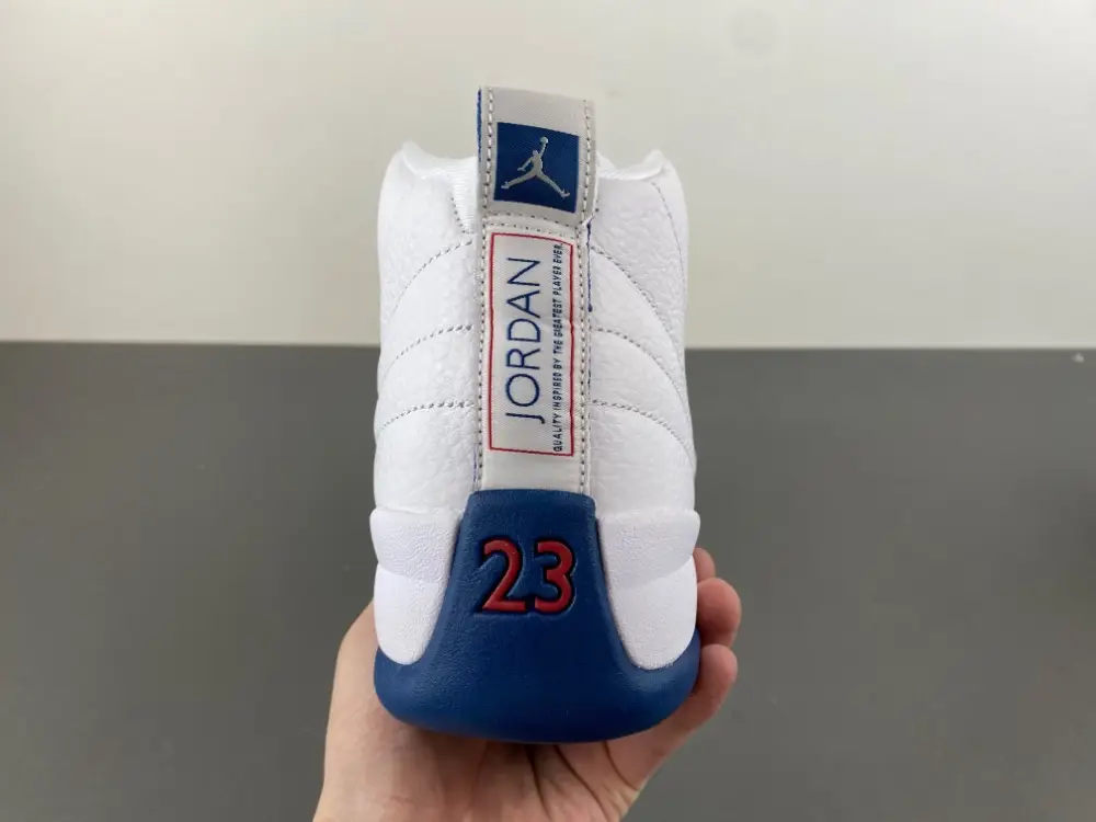 Air Jordan 12 