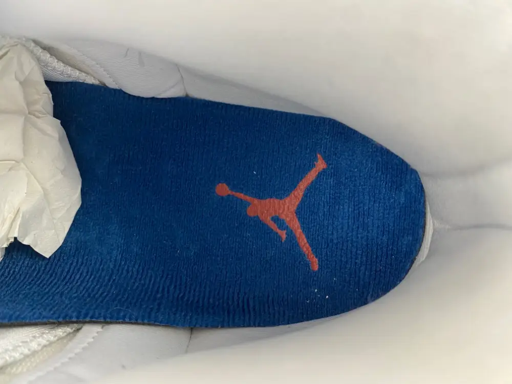 Air Jordan 12 