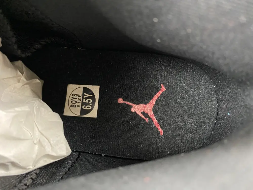 Air Jordan 12 Retro GS   2025 