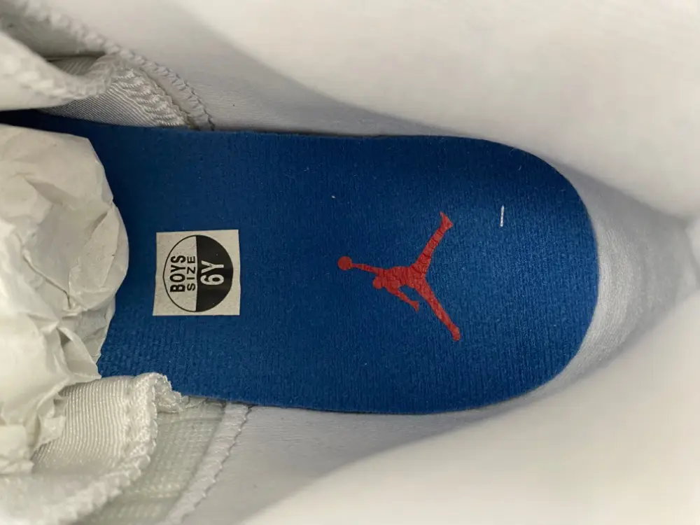 Air Jordan 12 GS 
