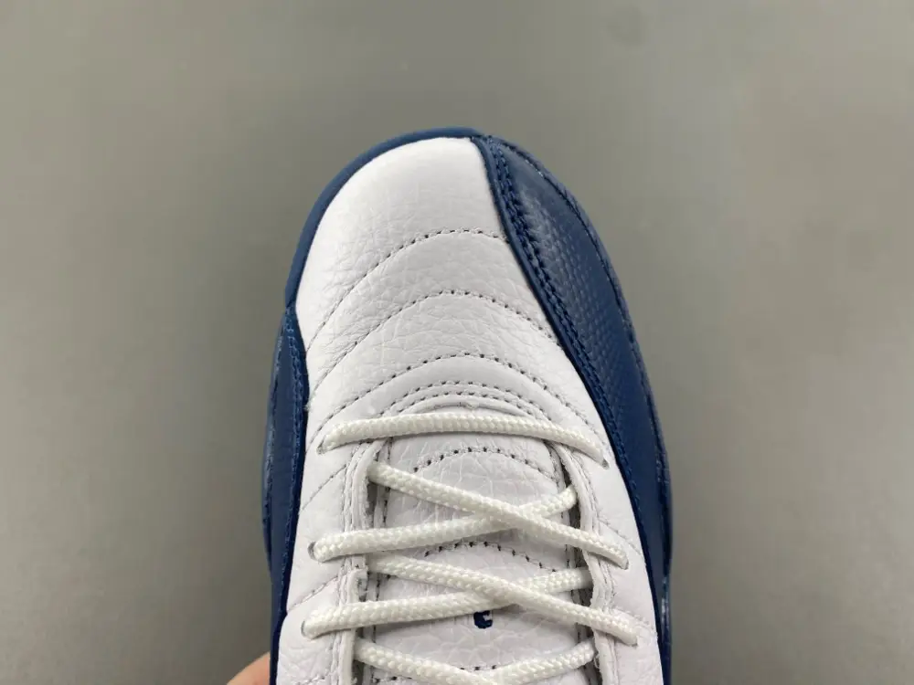 Air Jordan 12 GS 