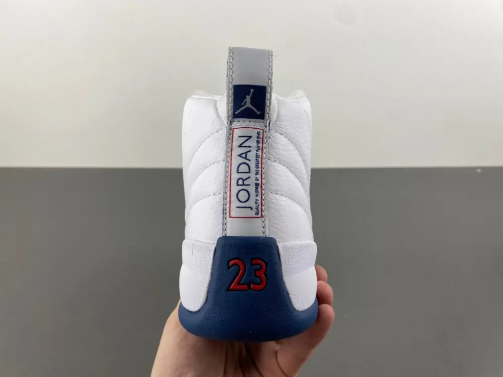 Air Jordan 12 GS 