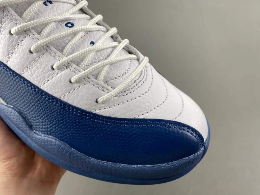 Air Jordan 12 GS 