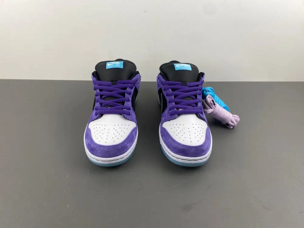 Hayley Wilson x Nike SB Dunk Low 