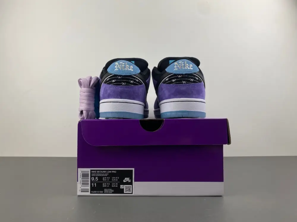 Hayley Wilson x Nike SB Dunk Low 