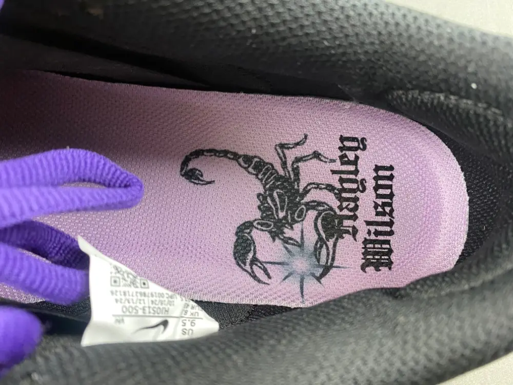 Hayley Wilson x Nike SB Dunk Low 