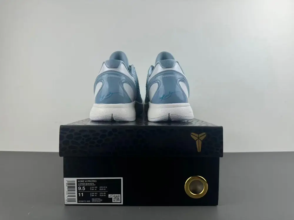 Nike Kobe 6 Protro 