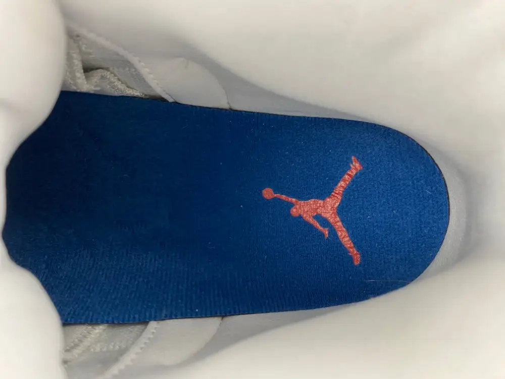 Air Jordan 12 