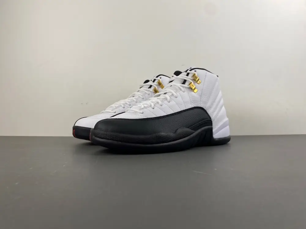 Air Jordan 12 