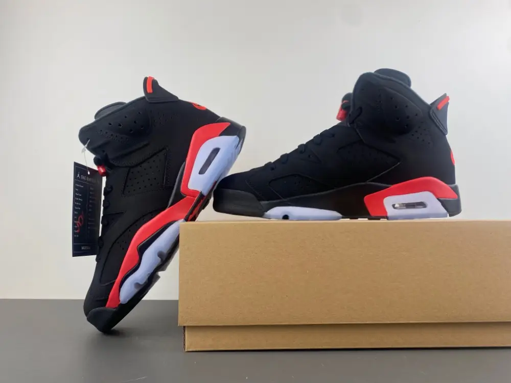 Air Jordan 6 