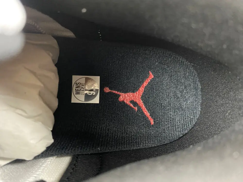 Air Jordan 12 