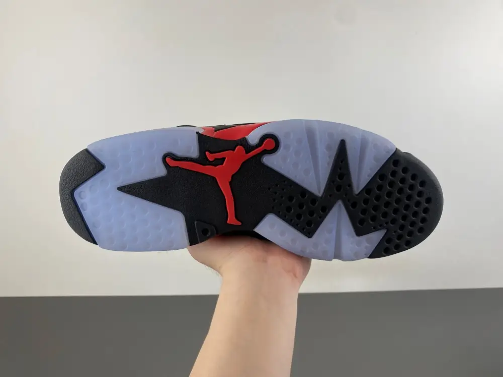 Air Jordan 6 