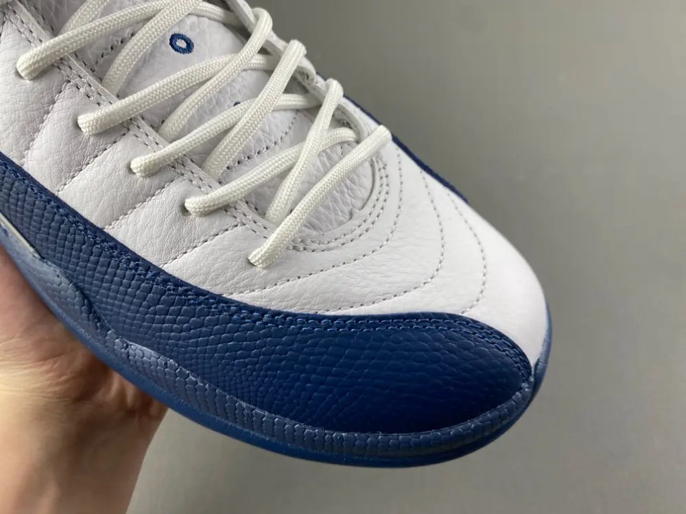 Air Jordan 12 
