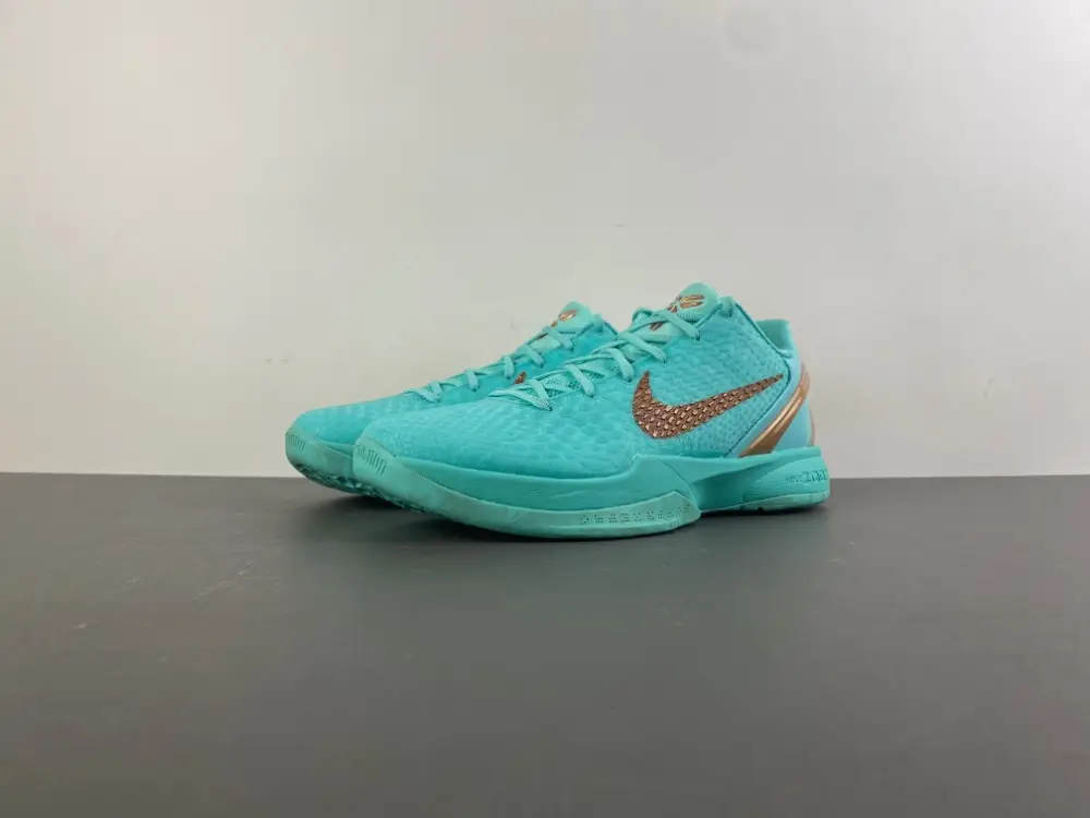 Jalen Brunson x Nike Kobe 6 Protro 