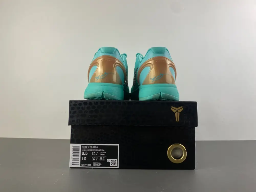 Jalen Brunson x Nike Kobe 6 Protro 