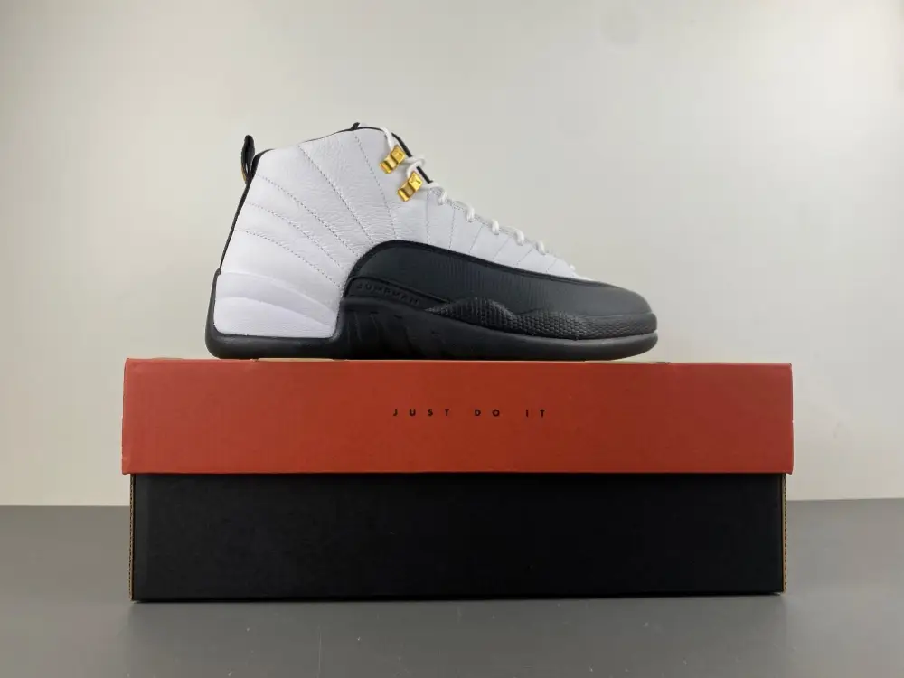 Air Jordan 12 