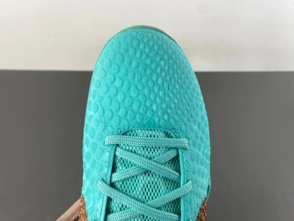 Jalen Brunson x Nike Kobe 6 Protro 