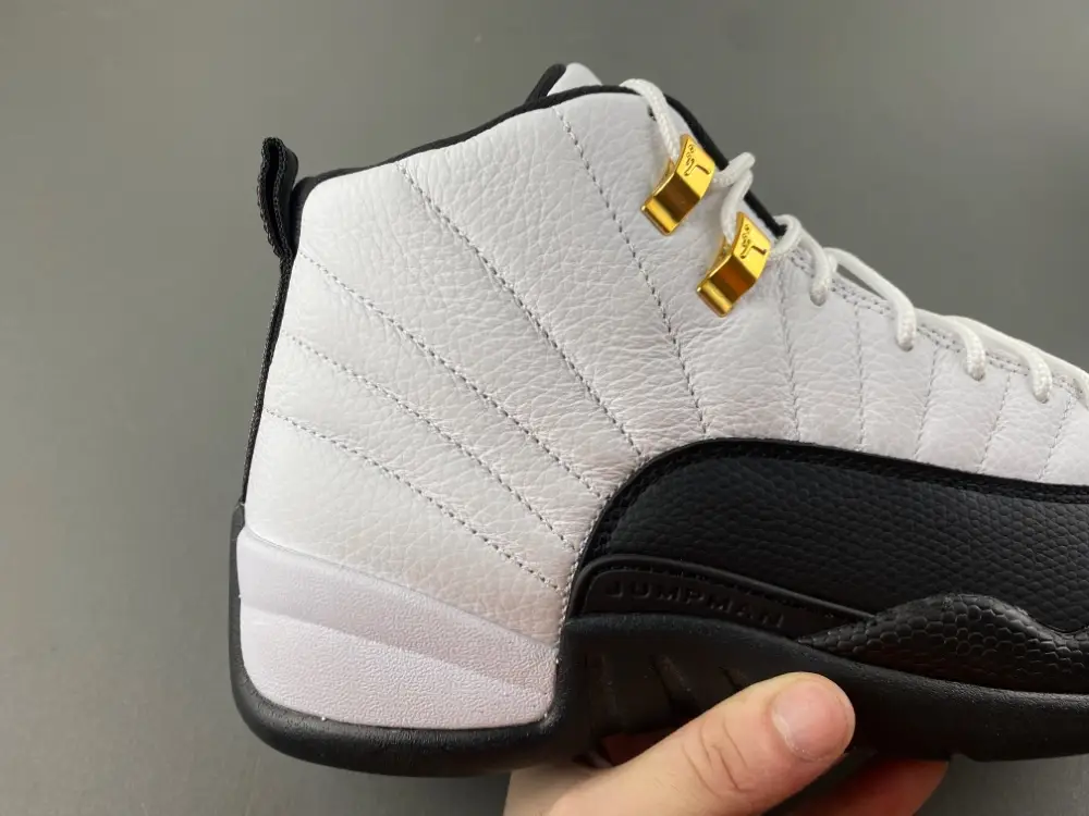 Air Jordan 12 