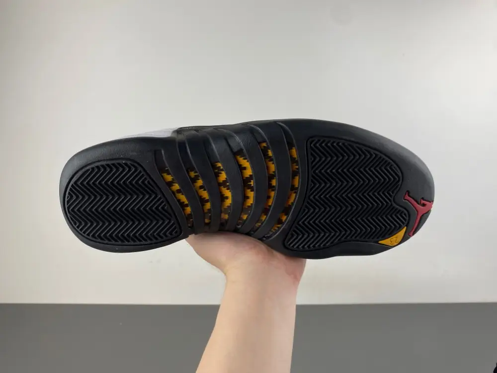 Air Jordan 12 