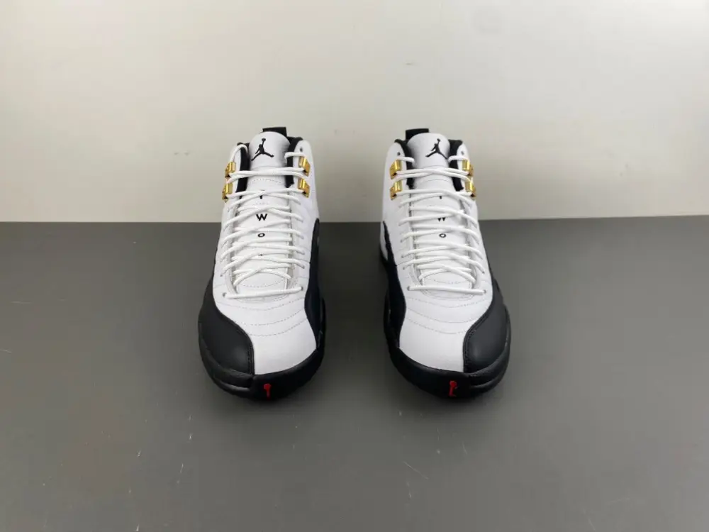 Air Jordan 12 