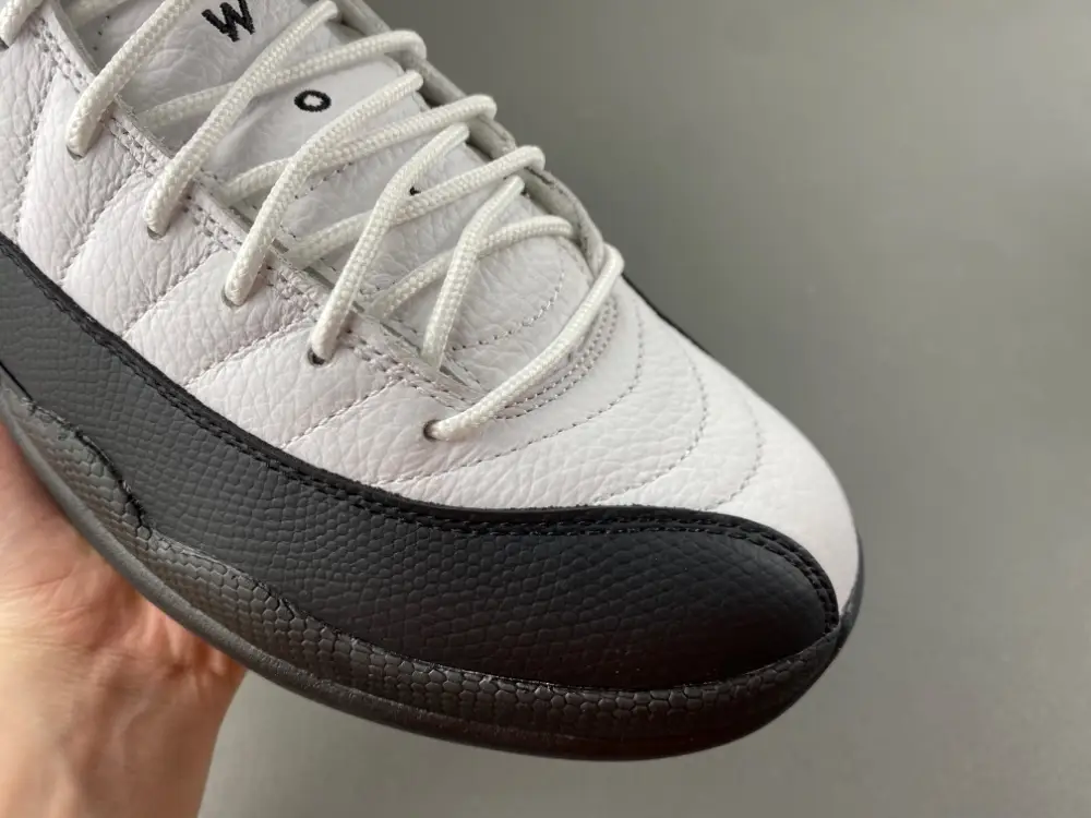 Air Jordan 12 