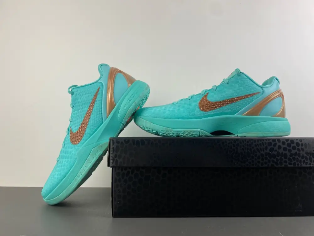 Jalen Brunson x Nike Kobe 6 Protro 