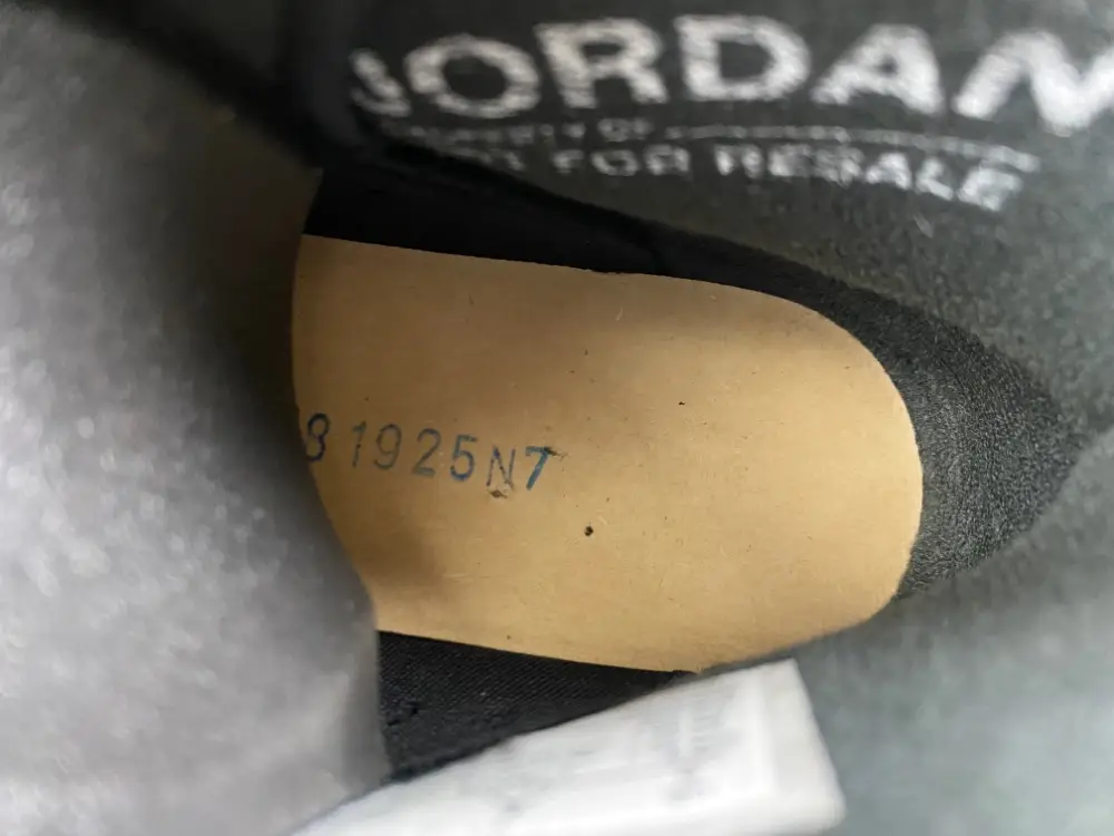 Air Jordan 6 