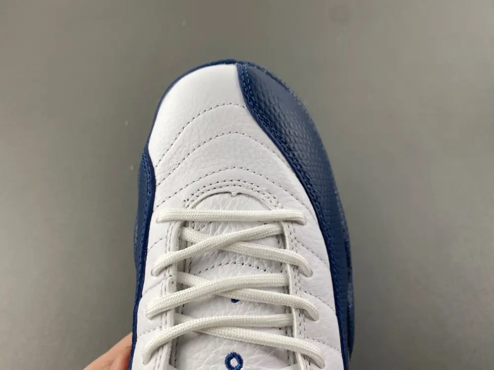 Air Jordan 12 
