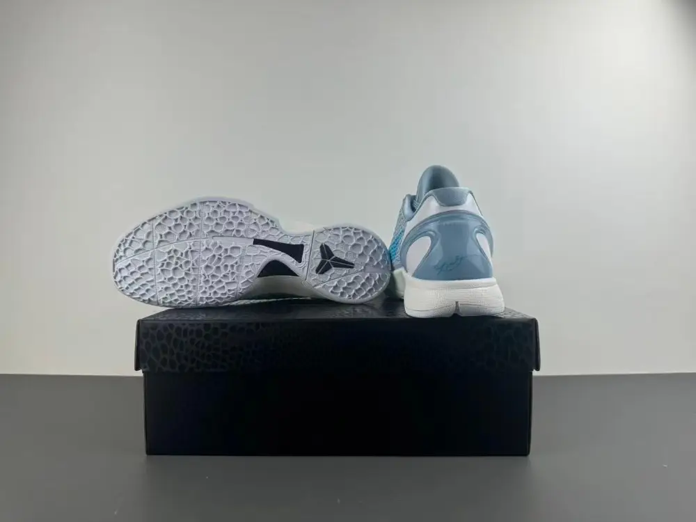 Nike Kobe 6 Protro 