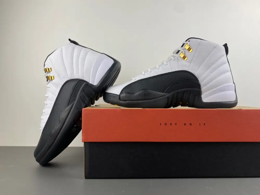 Air Jordan 12 