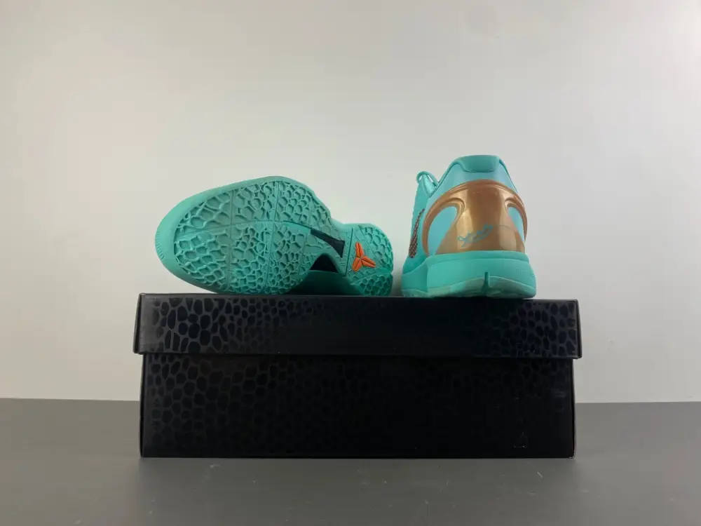 Jalen Brunson x Nike Kobe 6 Protro 
