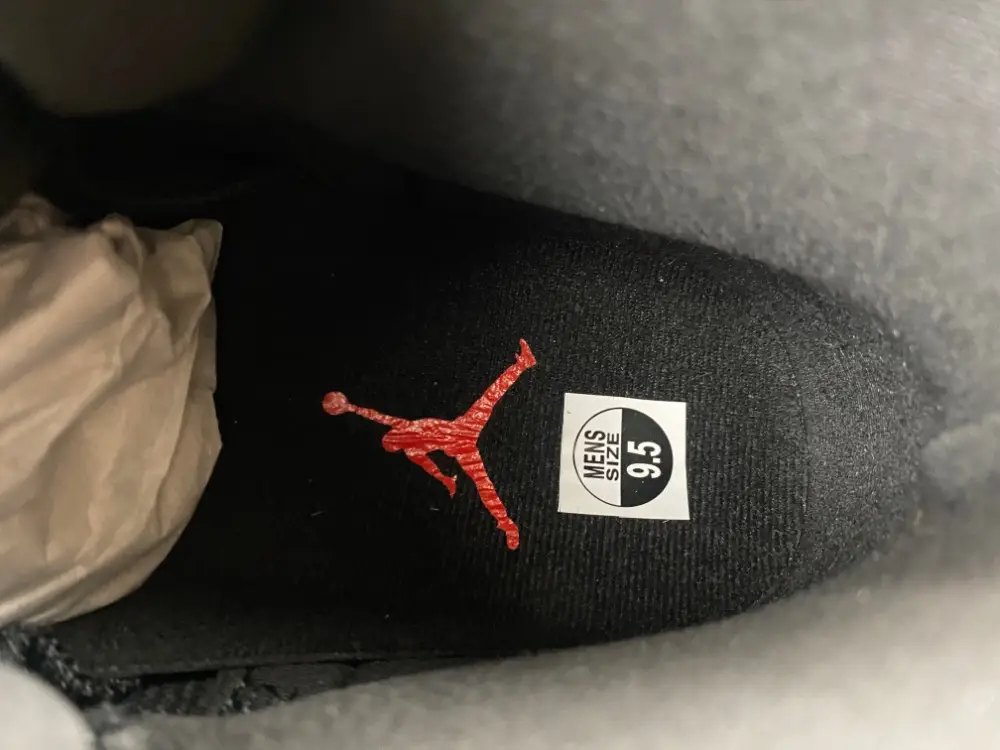 Air Jordan 12 