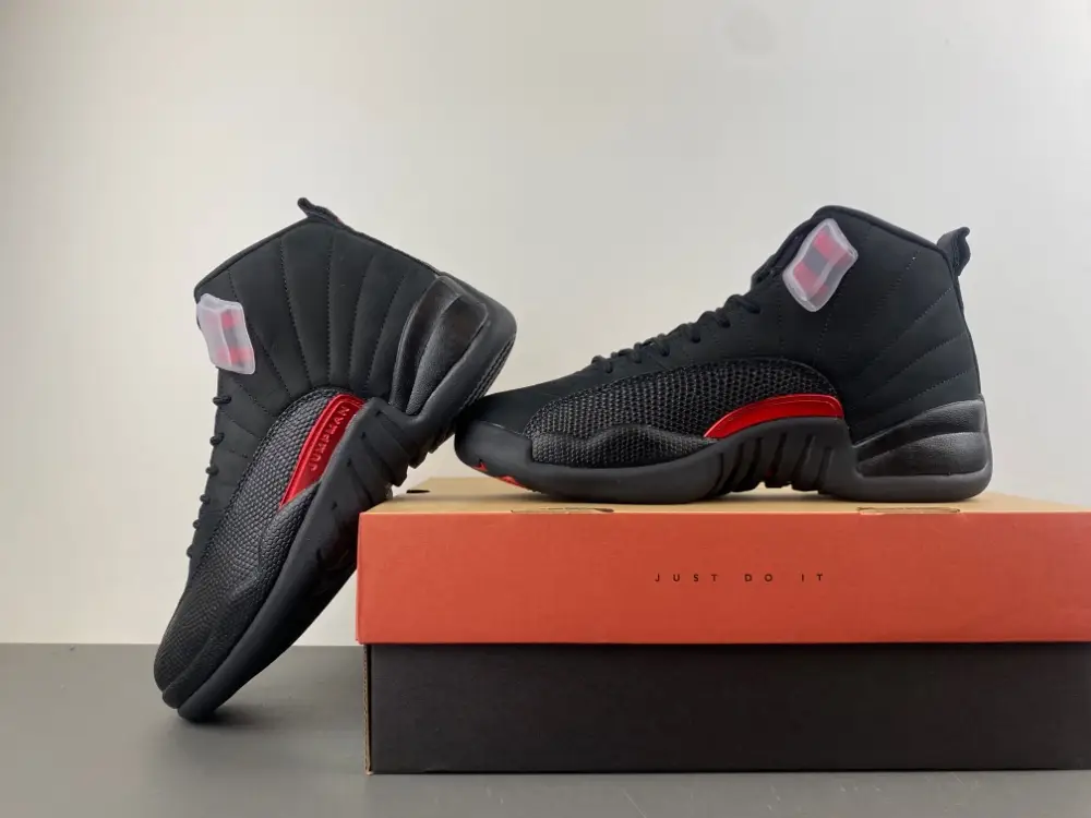 Air Jordan 12 