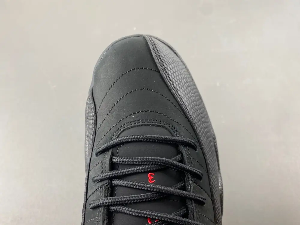 Air Jordan 12 