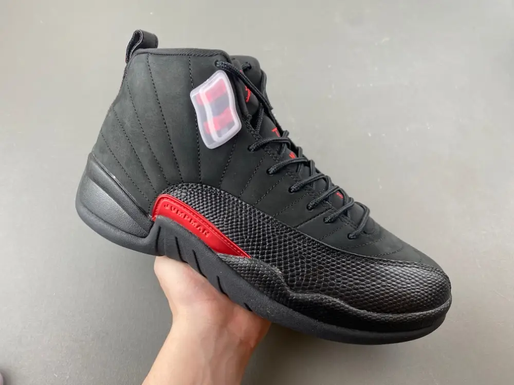 Air Jordan 12 
