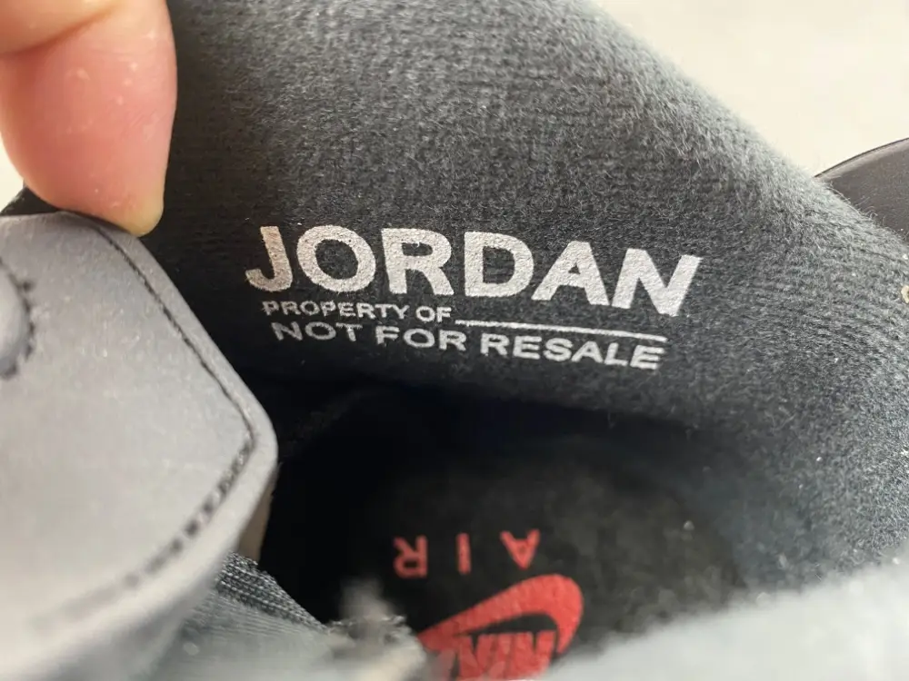 Air Jordan 6 