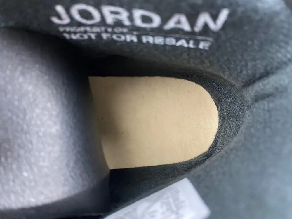 Air Jordan 6 