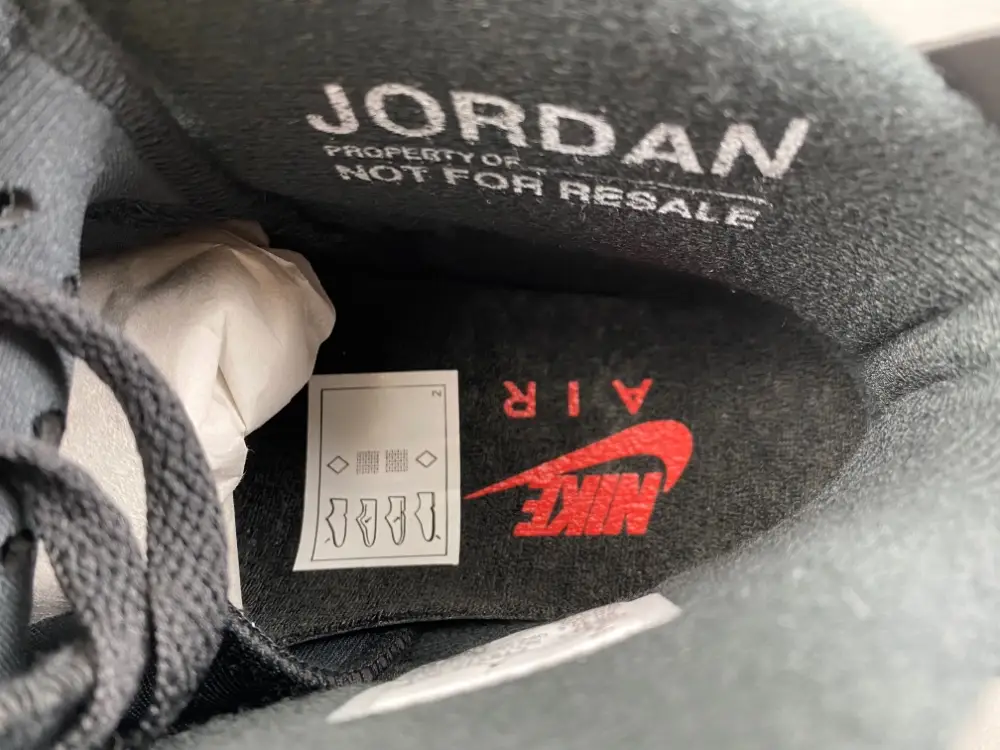 Air Jordan 6 