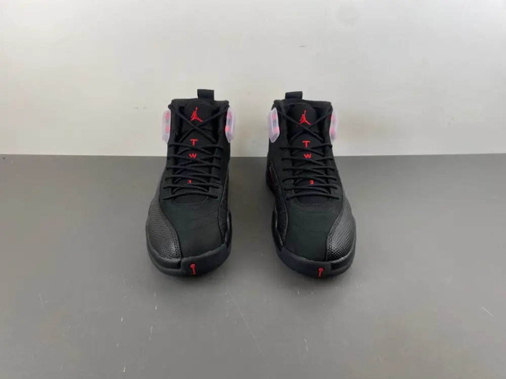 Air Jordan 12 