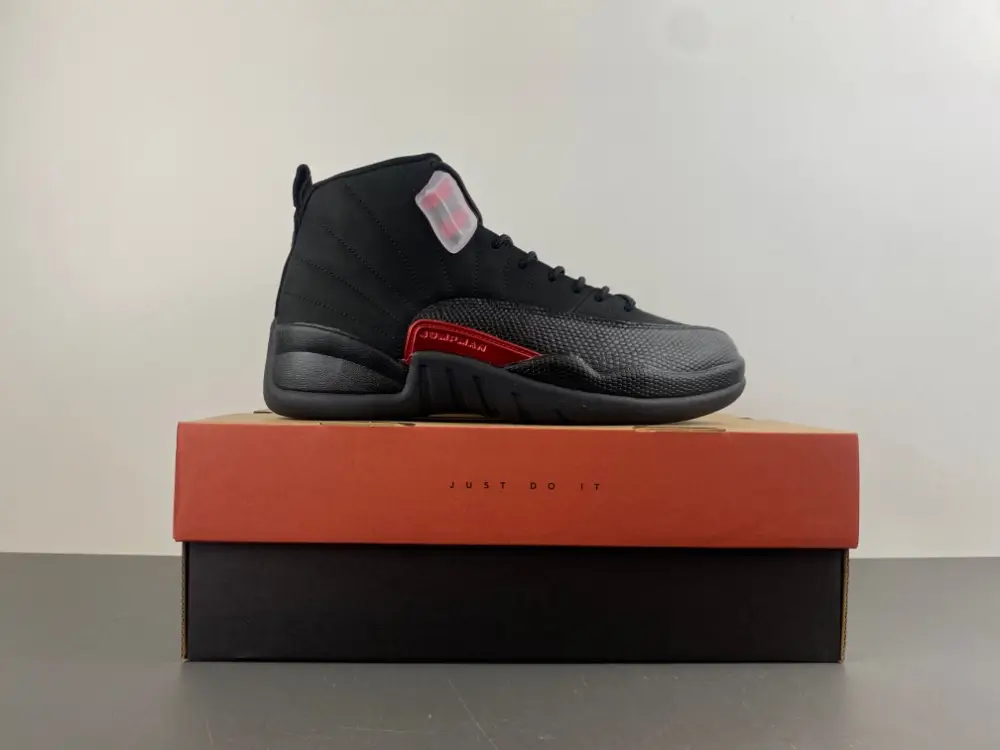 Air Jordan 12 