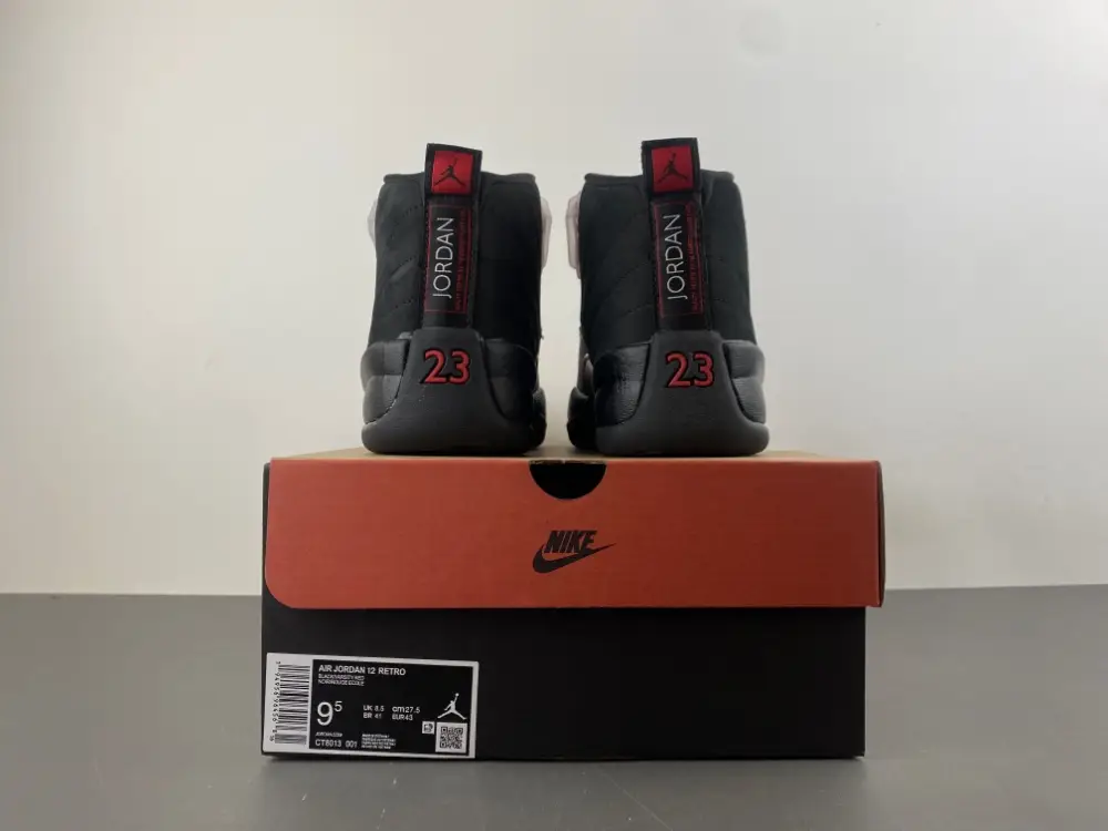 Air Jordan 12 