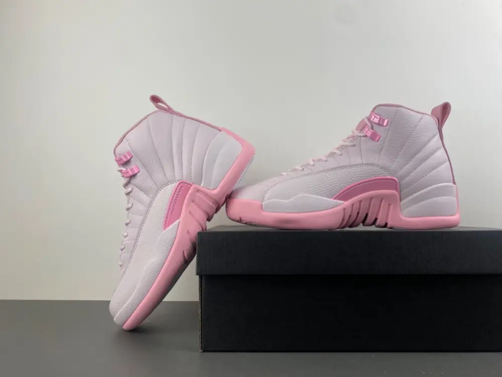 Air Jordan 12 GS 