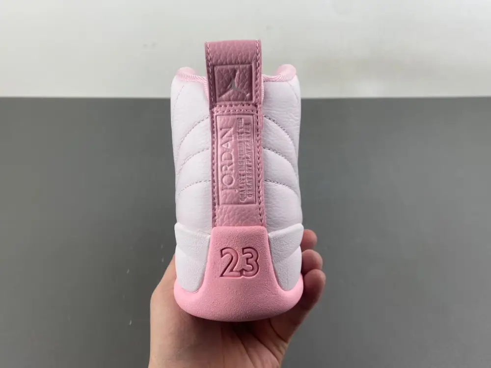 Air Jordan 12 GS 