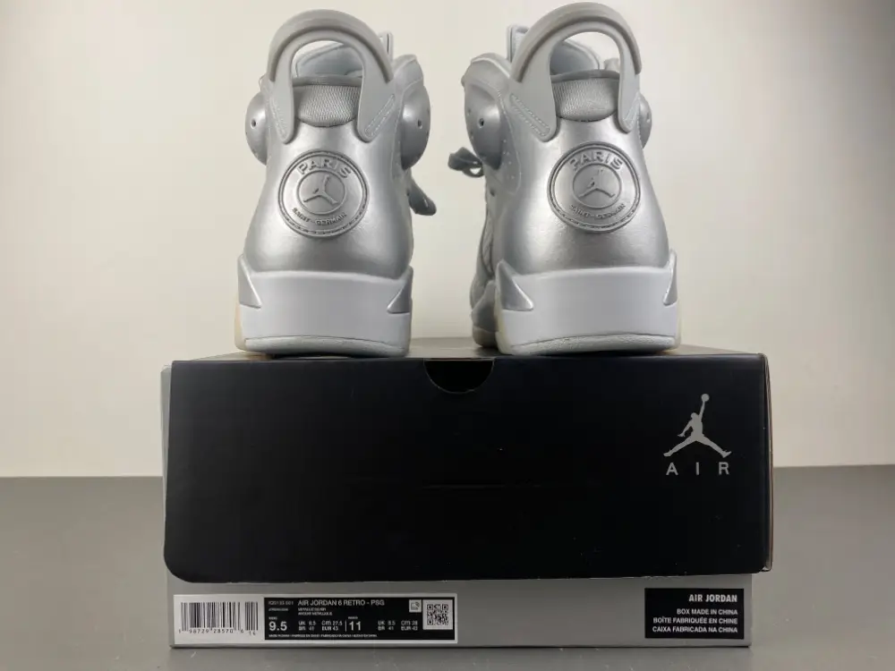 Air Jordan 6 