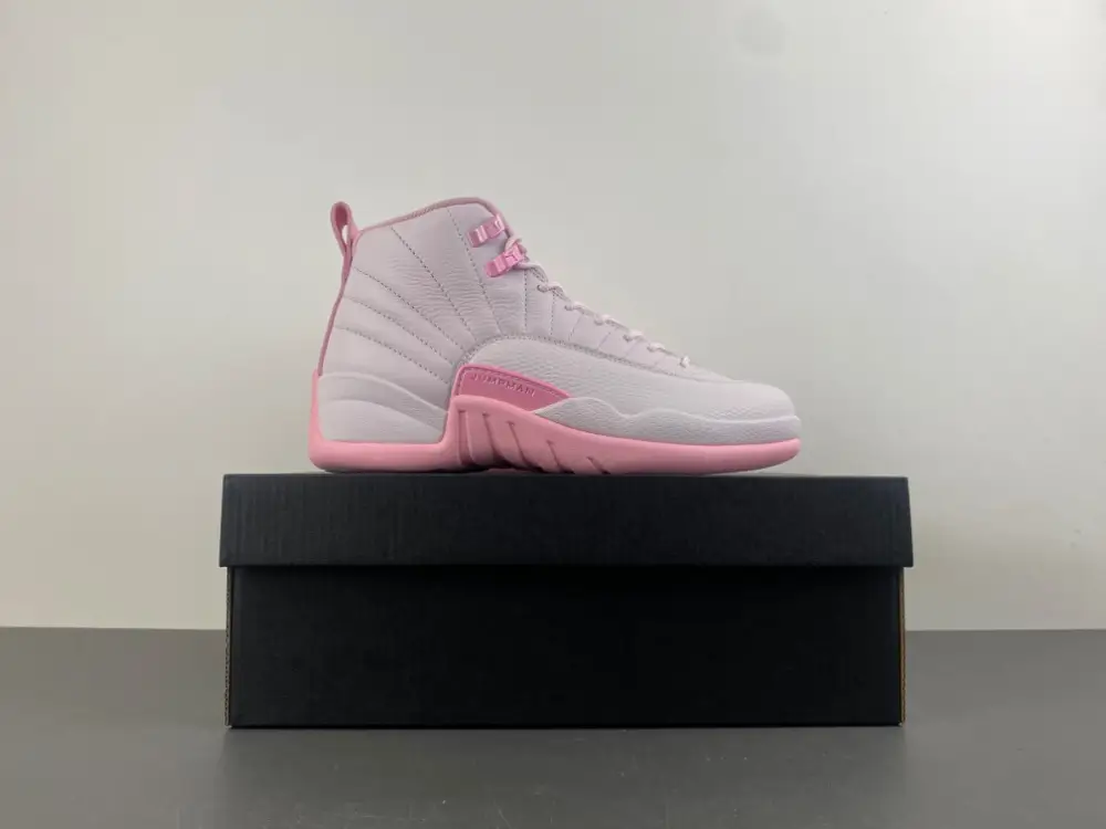 Air Jordan 12 GS 