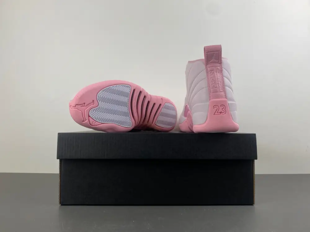 Air Jordan 12 GS 