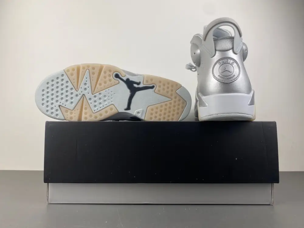 Air Jordan 6 