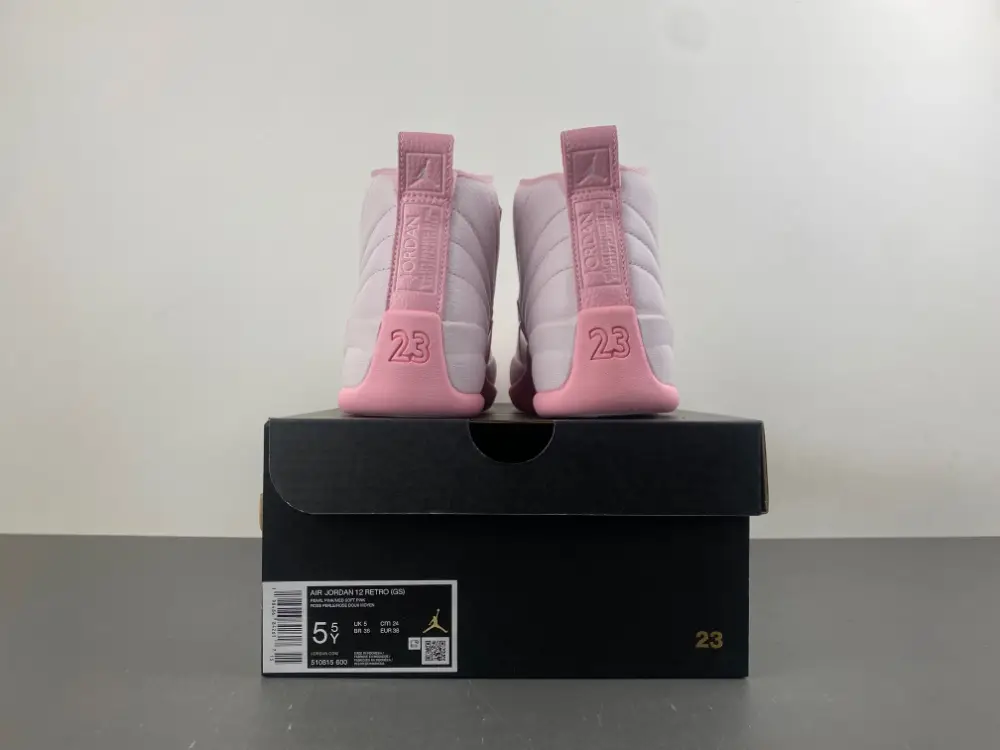Air Jordan 12 GS 