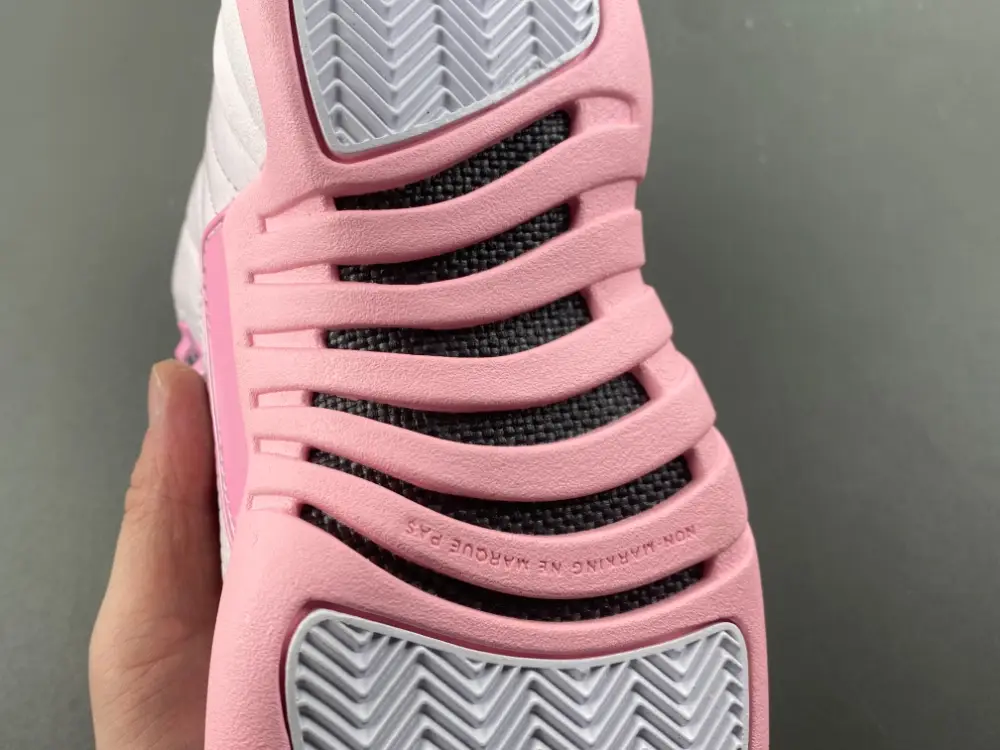 Air Jordan 12 GS 