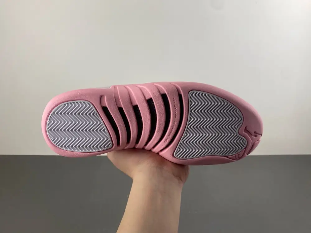 Air Jordan 12 GS 